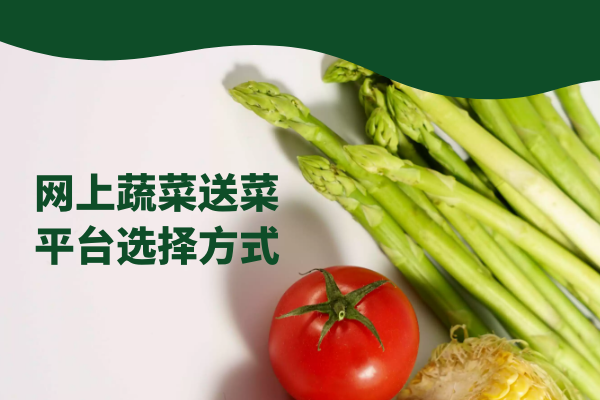 網(wǎng)上蔬菜送菜平臺(tái)選擇方式