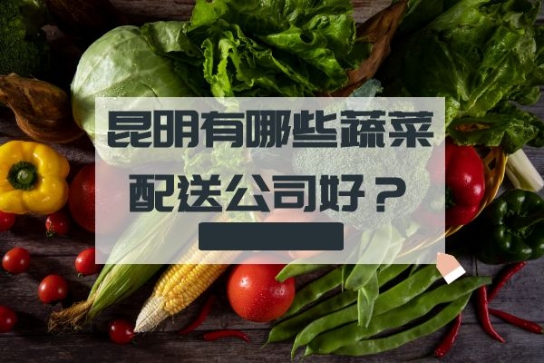 昆明有哪些蔬菜配送公司好？