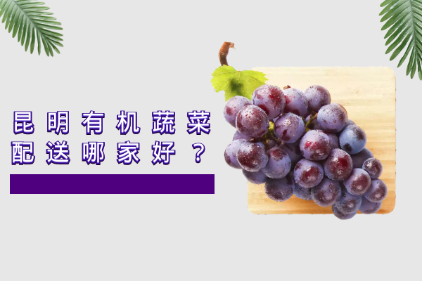 昆明有機(jī)蔬菜配送哪家好？